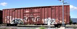 MTNR 175279